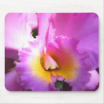 Orchid Euphoria Mouse Mat