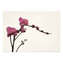 orchid flower romantic invitation