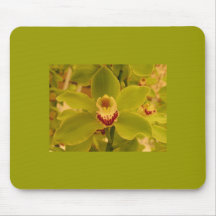 Orchid  Green Cymbidium Mouse Pad