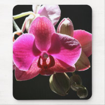 orchid mousemat