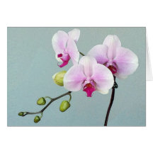 Orchid Orji Card
