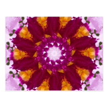 Orchid Rotating Nov 2012 Postcards