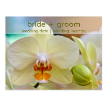 Orchid • Save the Date Card Post Card