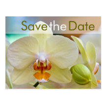 Orchid • Save the Date Postcard