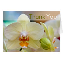 Orchid • Thank You Card