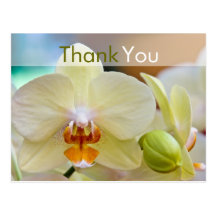 Orchid • Thank You Postcard