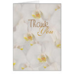 Orchid thank you wedding flower template cards