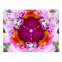 Orchid Triangle Nov 2012 Post Card