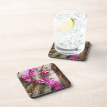 Orchid - Tropical Passion Beverage Coaster