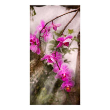 Orchid - Tropical Passion Custom Photo Card