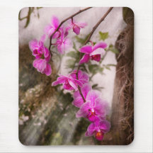 Orchid - Tropical Passion Mousepads