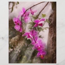 Orchid - Tropical Passion Personalised Flyer