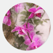 Orchid - Tropical Passion Round Stickers