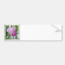 Orchid Types Bumper Stickers