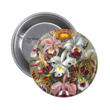 Orchidae (Orchids), Ernst Haeckel Buttons