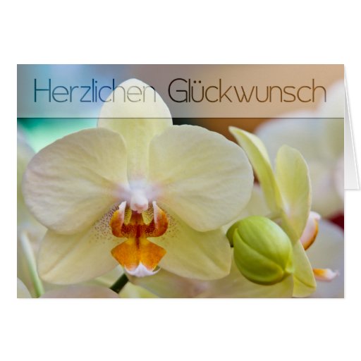 Orchidee • Geburtstagskarte Card