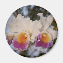 Orchids at Sunset Refrigerator Magnet