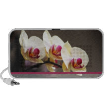 Orchids custome speaker