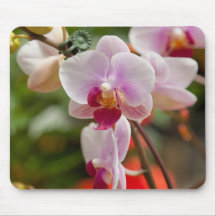 orchids mouse pads