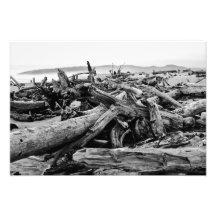 Oregon Coast Driftwood Black and White Print Photo