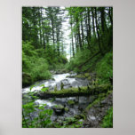 Oregon Nature Print