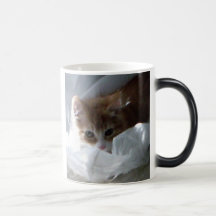 Orien 016 mugs