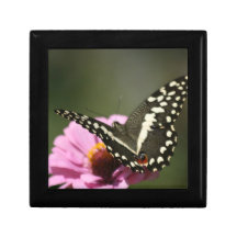 ornamental butterfly box trinket box