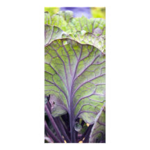 ornamental cabbage custom rack cards