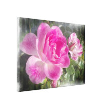 Ornamental Pink Garden Rose Canvas Canvas Prints