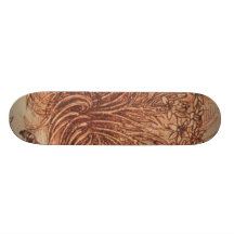 Ornithogalum (Star of Bethlehem) Skate Decks