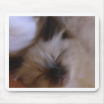 Oscar The Kitten Mouse Mats