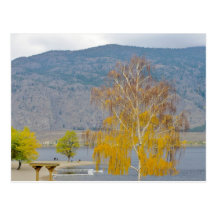 Osoyoos Fall Foliage Postcard