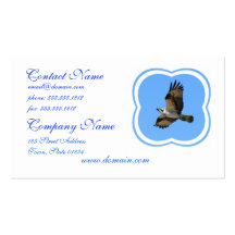 Osprey Bird Business Card