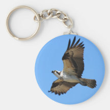 Osprey Bird Keychain