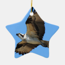 Osprey Bird Ornament
