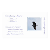 Osprey Flight Business Cards