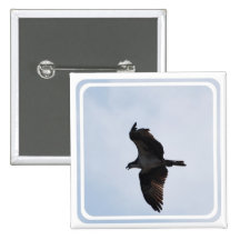 Osprey Flight Button