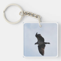 Osprey Flight Keychain Square Acrylic Keychains