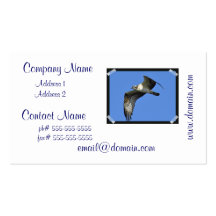 Osprey Flying Business Cards