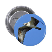 Osprey Flying Button