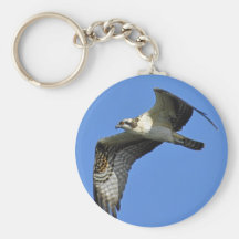 Osprey Flying Keychain