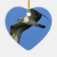 Osprey Flying Ornament