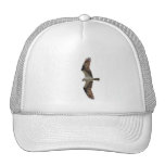 Osprey Flying Photo Trucker Hats