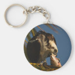 Osprey Keychains