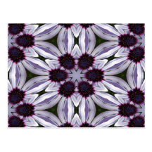 Osteospermum Abstract Post Card