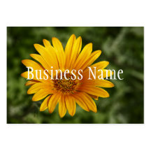 Osteospermum Business Card
