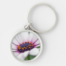 Osteospermum Daisy Macro Key Chains