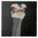 Ostrich Black Tile