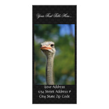 Ostrich Custom Rack Card