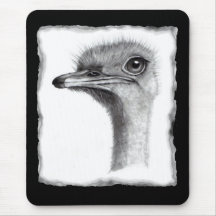 OSTRICH HEAD IN PENCIL: ART: REALISM MOUSEPADS